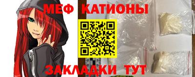 индика Кингисепп