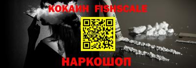 индика Кингисепп