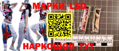индика Кингисепп