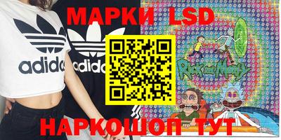 индика Кингисепп