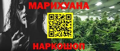 индика Кингисепп