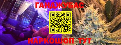индика Кингисепп
