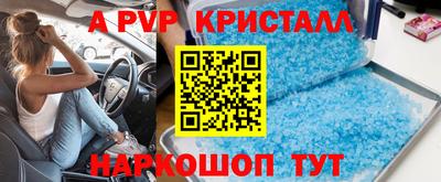 индика Кингисепп