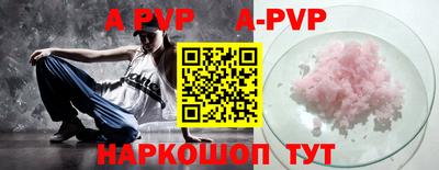 индика Кингисепп