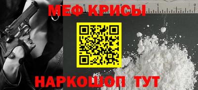 индика Кингисепп