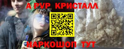 индика Кингисепп